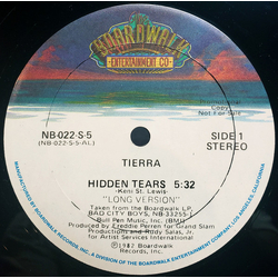 Tierra Hidden Tears Vinyl 12" USED