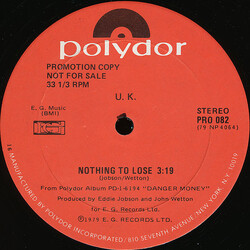 UK (3) Nothing To Lose USED VINYL 12INCH 33 S RPM PROMO