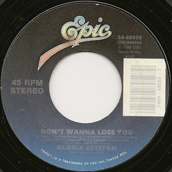 Gloria Estefan Don't Wanna Lose You Vinyl 7" USED