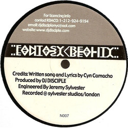Cyn Fantasy Reality VINYL 12" USED