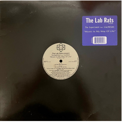 Lab Rats / The Experiment (2) / Lisa Millett Music Is My Way Of Life Vinyl 12" USED