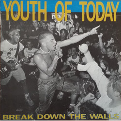 Youth Of Today Break Down the Walls Vinyl LP USED
