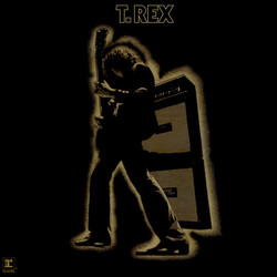 T. Rex Electric Warrior Vinyl LP USED