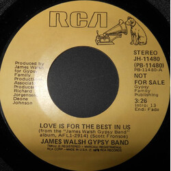 James Walsh Gypsy Band Love Is For The Best In Us USED VINYL 7INCH PROMO STEREO MONO