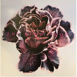 The Slow Show Still Life Vinyl LP USED