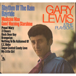 Gary Lewis & The Playboys Rhythm Of The Rain / Hayride Vinyl LP USED