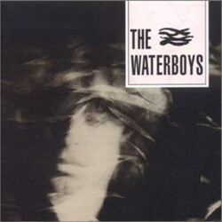 The Waterboys The Waterboys Vinyl LP USED