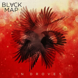 Black Map In Droves Vinyl LP USED