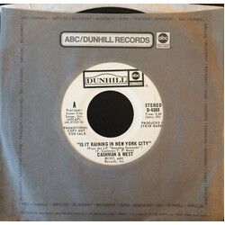 Cashman & West Is It Raining In New York City USED VINYL 7INCH 45 RPM PROMO