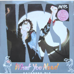 INXS What You Need (Extended Mix) Vinyl 12" USED
