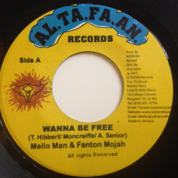Mello Man / Fantan Mojah Wanna Be Free Vinyl 7" USED