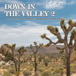 Various Down In The Valley 2 Vinyl LP USED
