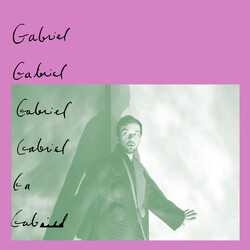 Gabe Schray Gabriel Vinyl LP USED