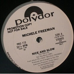 Michele Freeman Nice And Slow USED VINYL 12INCH 33 S RPM PROMO