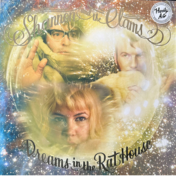 Shannon And The Clams Dreams In The Rat House Vinyl LP USED
