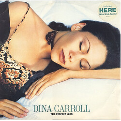 Dina Carroll The Perfect Year USED VINYL 12INCH 33 S RPM SINGLE