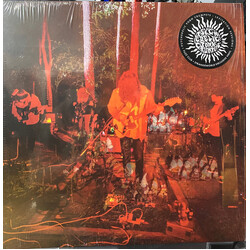 Psychedelic Porn Crumpets Levitation Sessions Vinyl LP USED