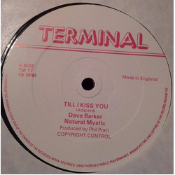 Dave Barker (2) / Natural Mystic (2) Till I Kiss You Vinyl 12" USED