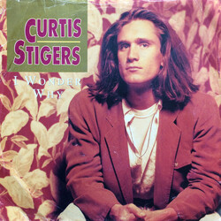 Curtis Stigers I Wonder Why USED VINYL 7INCH 45 RPM SINGLE