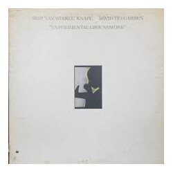 Teegarden & Van Winkle Experimental Groundwork Vinyl LP USED