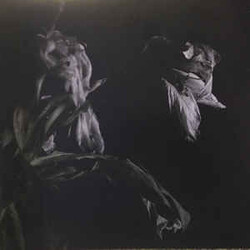 Cavernlight As We Cup Our Hands And Drink From The Stream Of Our Ache Vinyl LP USED