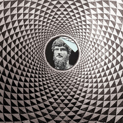 Male Gaze Gale Maze Vinyl LP USED