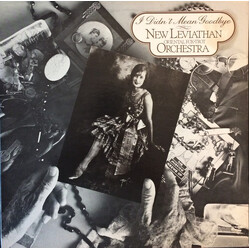 The New Leviathan Oriental Fox-Trot Orchestra I Didn't Mean Goodbye Vinyl LP USED