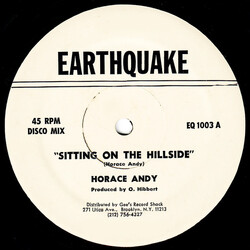 Horace Andy Sitting On The Hillside / Sea Of Love USED VINYL 12INCH 45 RPM