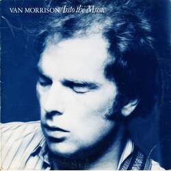 Van Morrison Into The Music Vinyl LP USED