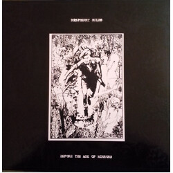 Raspberry Bulbs Before The Age Of Mirrors Vinyl LP USED