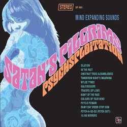 Satan's Pilgrims Psychsploitation Vinyl LP USED
