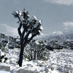 Oren Ambarchi / Kassel Jaeger / James Rushford Pale Calling Vinyl LP USED