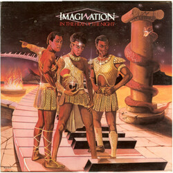 Imagination In The Heat Of The Night Vinyl LP USED