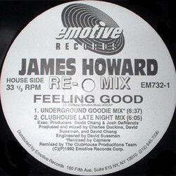 James Howard Feeling Good (The Remixes) USED VINYL 12INCH 33 S RPM