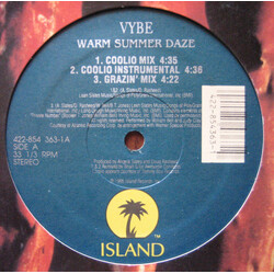 Vybe Warm Summer Daze VINYL 12" USED