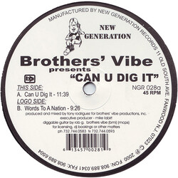 Brothers' Vibe Can U Dig It VINYL 12" USED