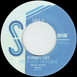 Shawn Lee So Much Trouble USED VINYL 7INCH 45 RPM SINGLE