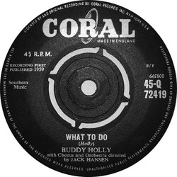 Buddy Holly What To Do USED VINYL 7INCH 45 RPM SINGLE
