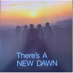 The New Dawn There's A New Dawn Vinyl LP USED