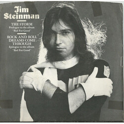 Jim Steinman The Storm / Rock And Roll Dreams Come Through USED VINYL 7INCH 33 S RPM PROMO STEREO