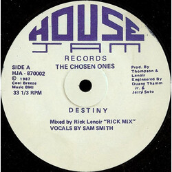The Chosen Ones Destiny USED VINYL 12INCH 33 S RPM