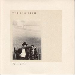 The Big Dish Big New Beginning USED VINYL 7INCH 45 RPM SINGLE