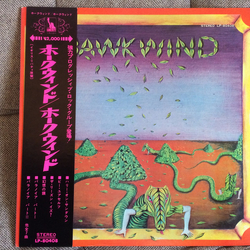 Hawkwind Hawkwind Vinyl LP USED