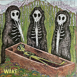 Hail The Sun Wake Vinyl LP USED