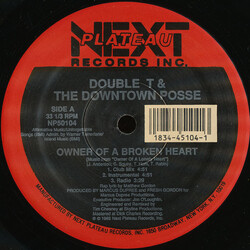 Double T & The Downtown Posse Owner Of A Broken Heart Vinyl 12" USED