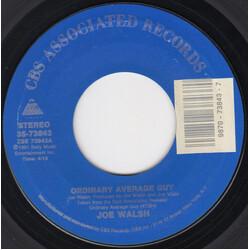 Joe Walsh Ordinary Average Guy USED VINYL 7INCH 45 RPM SINGLE STEREO