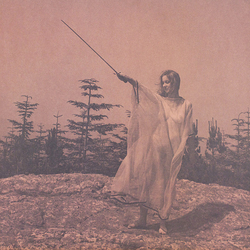 Unknown Mortal Orchestra II Vinyl LP USED