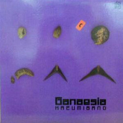 Kazumi Band Ganaesia Vinyl LP USED