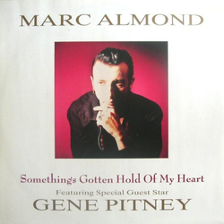 Marc Almond Something's Gotten Hold Of My Heart Vinyl 12" USED
