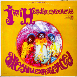 The Jimi Hendrix Experience Are You Experienced? Vinyl LP USED